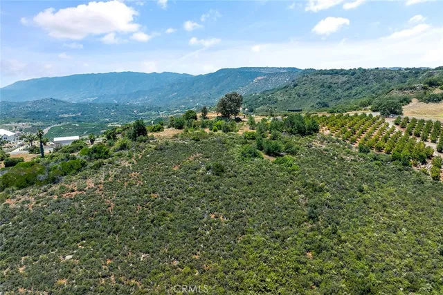 a view of a bunch of trees