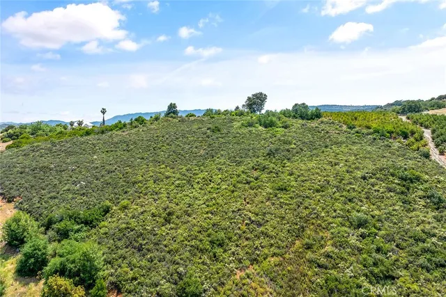 a view of a lush green outdoor space with a lake view