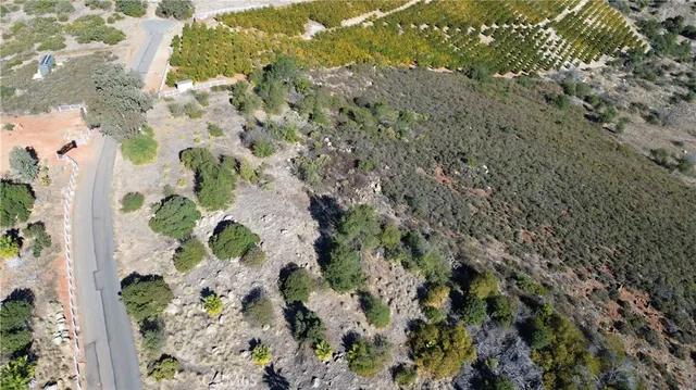 a view of a green field with lots of bushes