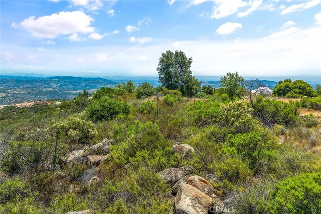 a view of a yard with plants and a tree