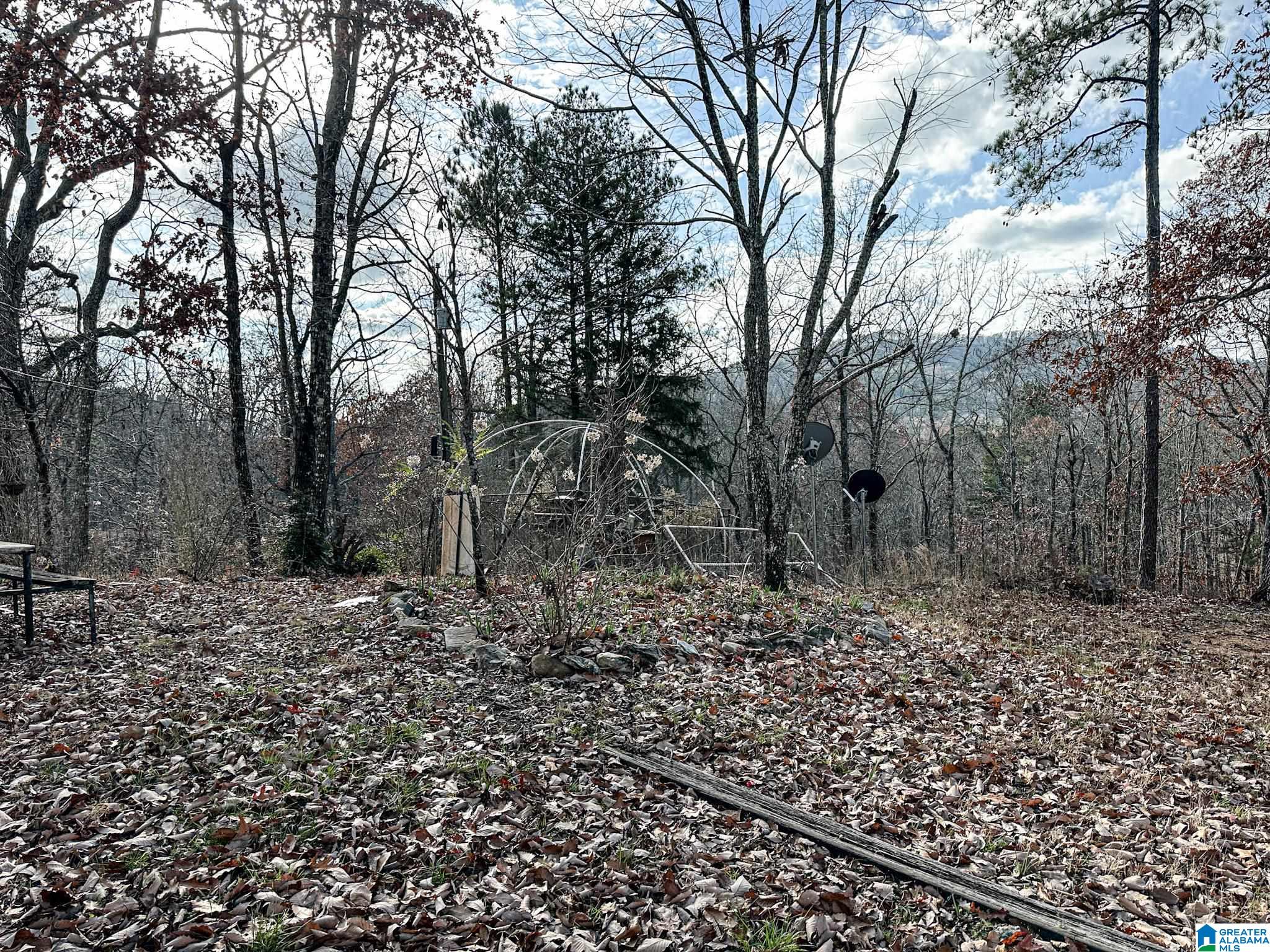 5325 Union T Road Talladega, AL 35160 - Photo 64 of 83
