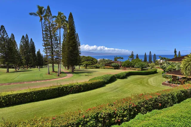 a view of a chairs and table in patio