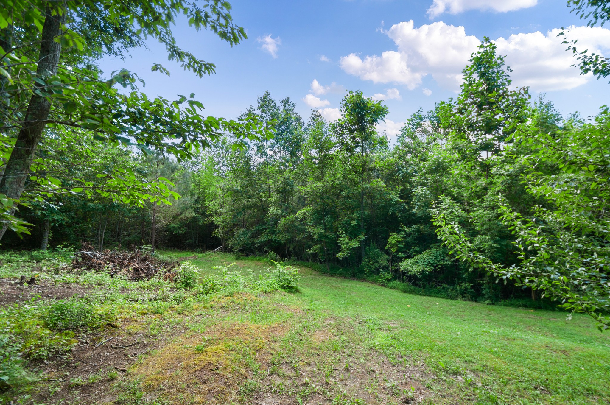 813 Walker Road Hampshire, TN 38461 - Photo 27 of 27 Gallery Image 27