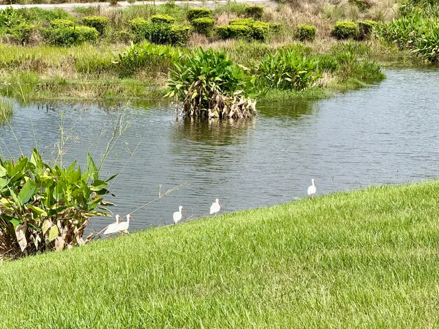 a view of a golf course with a lake