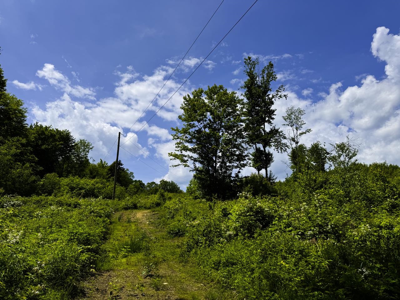 0 Lynburke Road, Unit LOT 2 Lyndonville, VT 05851 - Photo 19 of 30