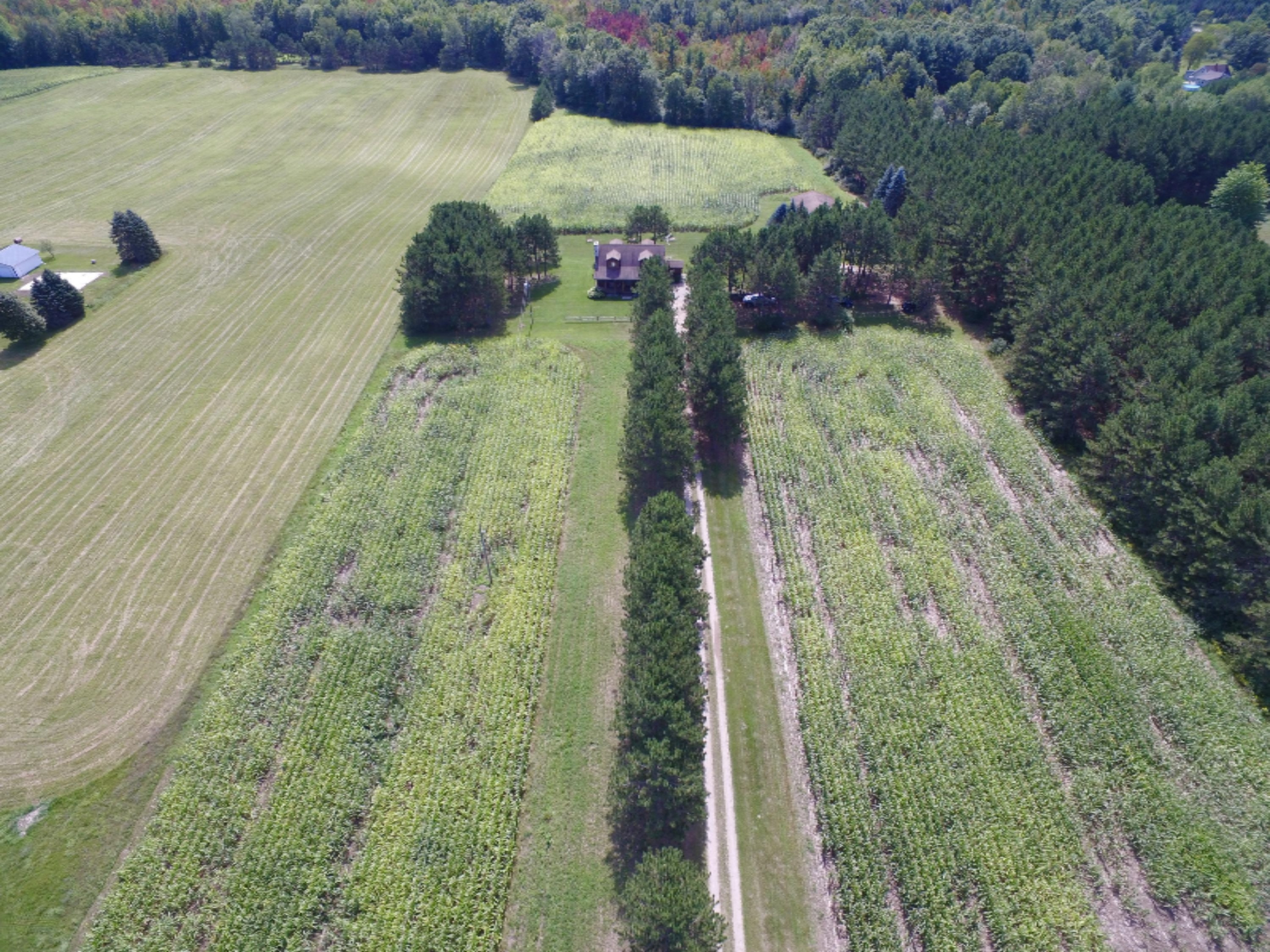 5855 10 Mile Road Remus, MI 49340 - Photo 3 of 48 fullsizeoutput_129b