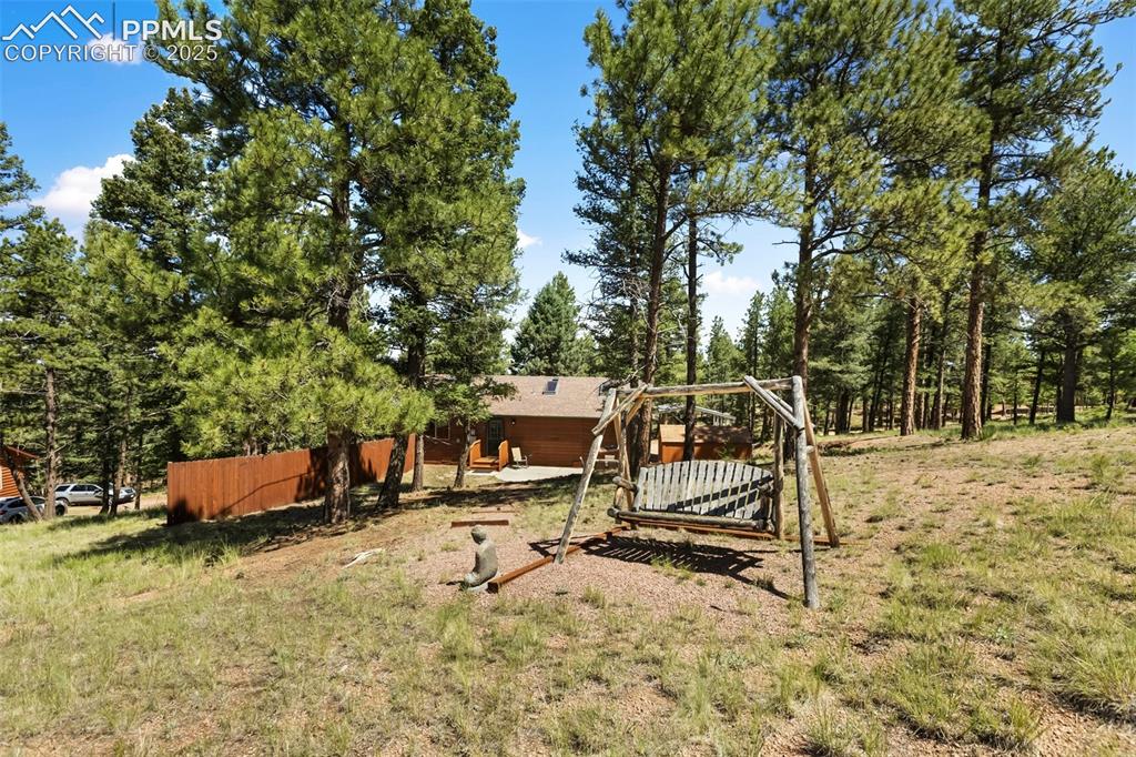 234 Wahsatch Road Florissant, CO 80816 - Photo 29 of 44