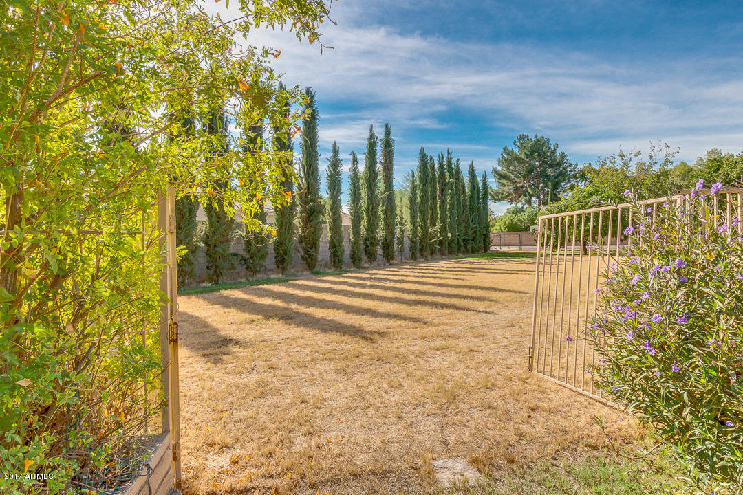 9239 South Terrace Road Tempe, AZ 85284 - Photo 47 of 65 51-Warner
