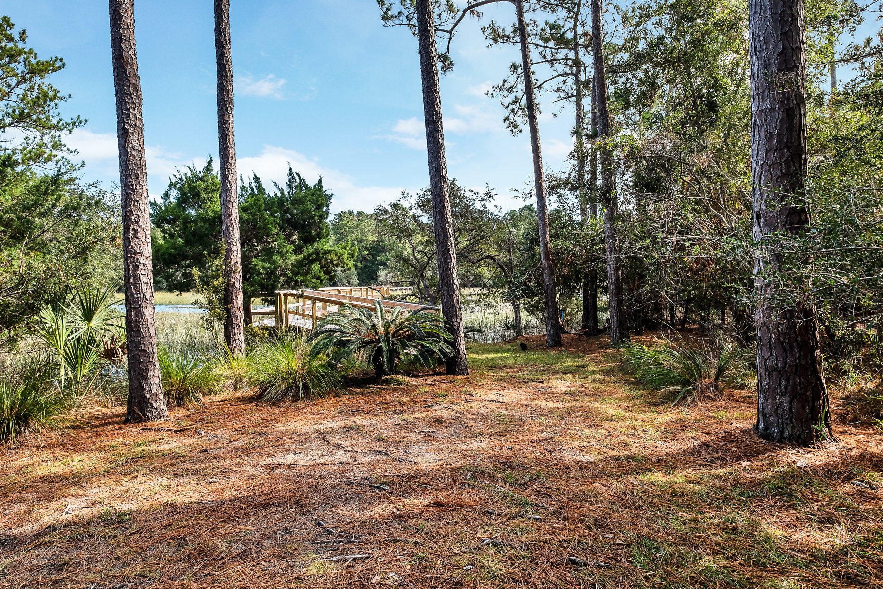 524 Commonwealth Road Mount Pleasant, SC 29466 - Photo 64 of 77 524 Commonwealth