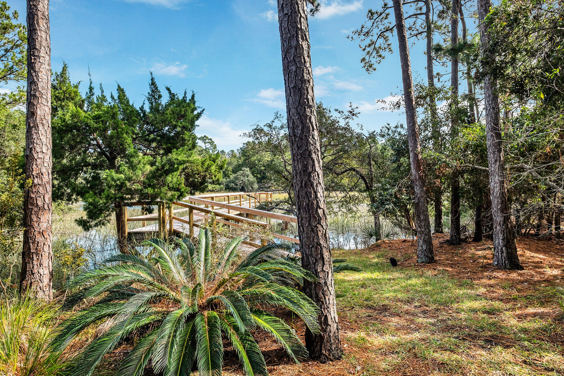 524 Commonwealth Road Mount Pleasant, SC 29466 - Photo 65 of 77 524 Commonwealth
