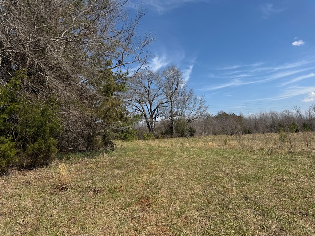 22 Stone Gate Farm Road Donalds, SC 29638 - Photo 25 of 26
