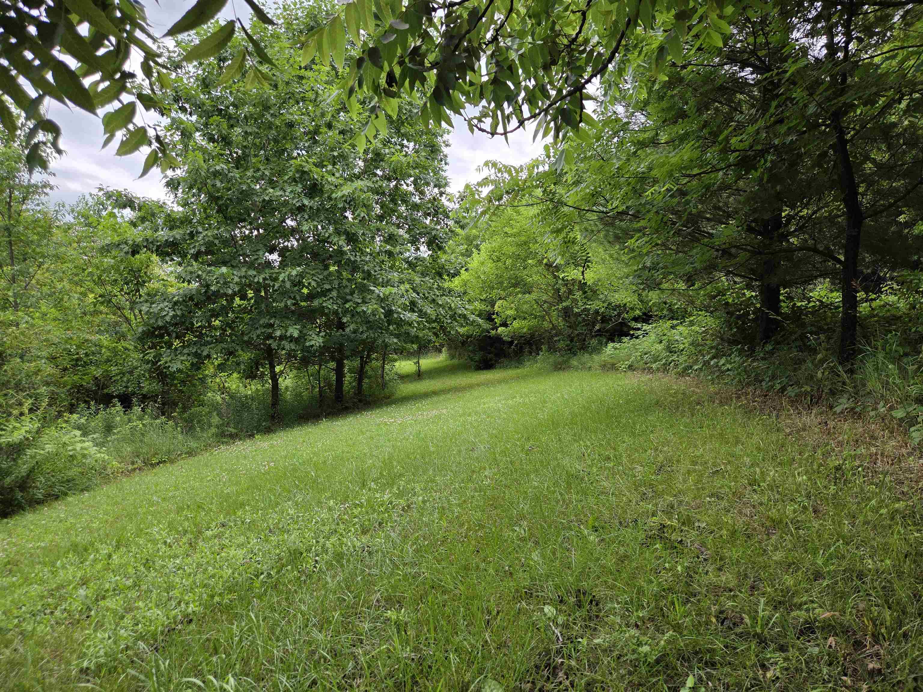 32747 State Highway Muscoda, WI 53573 - Photo 64 of 83