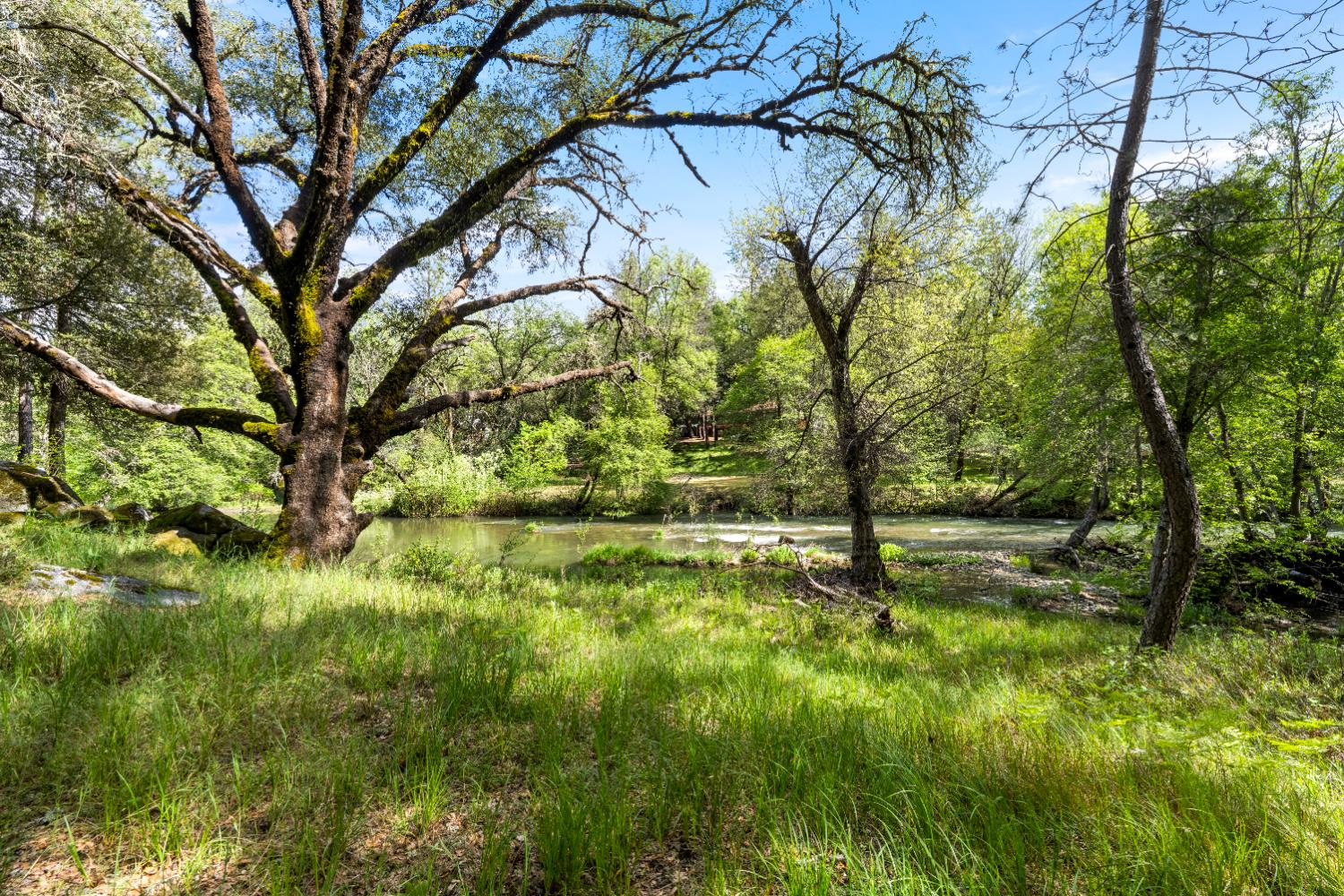 7321 Morning Canyon Road Placerville, CA 95667 - Photo 26 of 39 a backyard of a house with lots of green space
