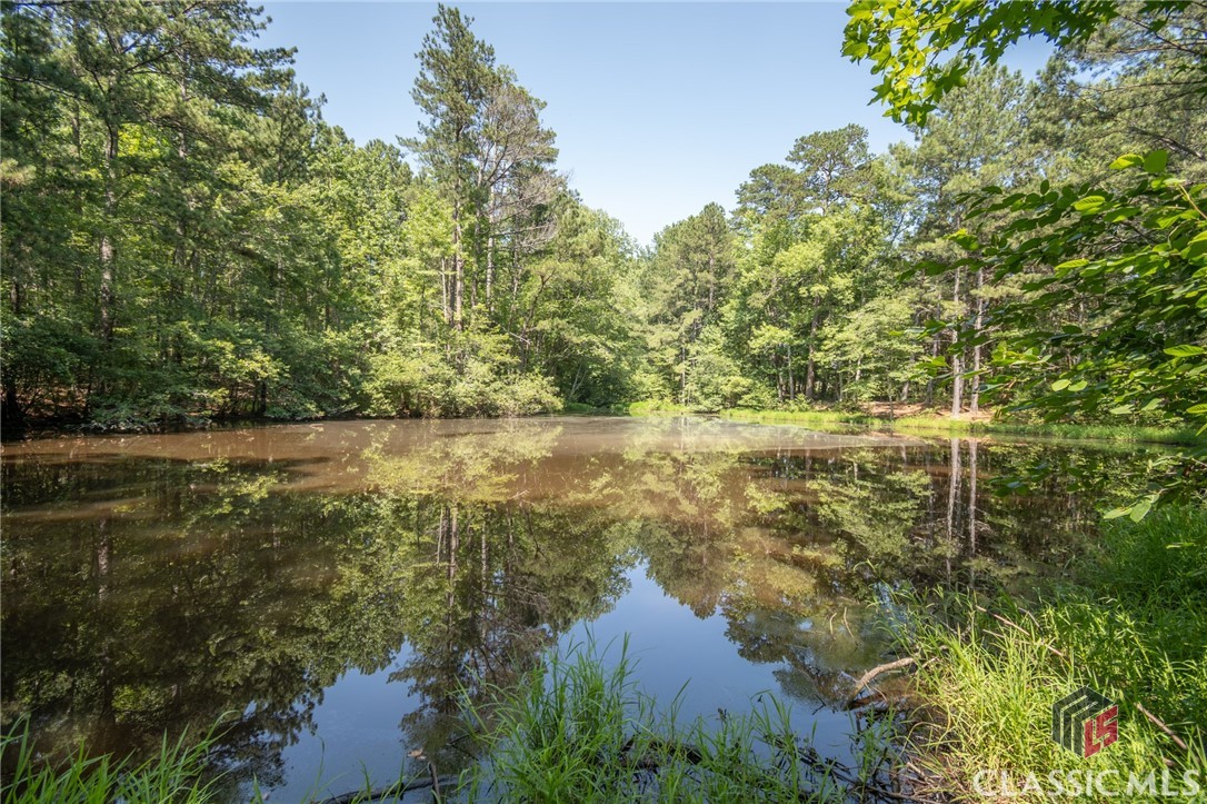 4051 Whitlow Ridge Drive Bishop, GA 30621 - Photo 69 of 75