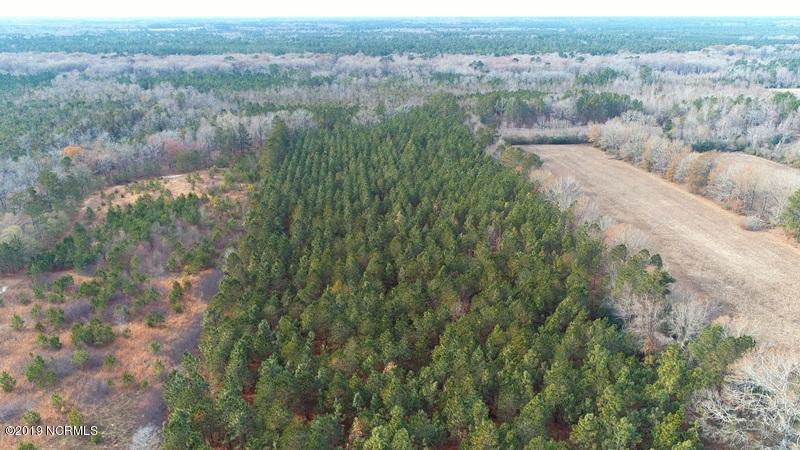 0 Gainey Road Raeford, NC 28376 - Photo 6 of 8 6