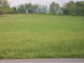 257 Bill West Road Limestone, TN 37681 - Photo 3 of 3 Photo 3
