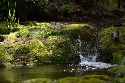 $1,065,000 | 30131 Elkhorn Road, Yorkville, CA 95494