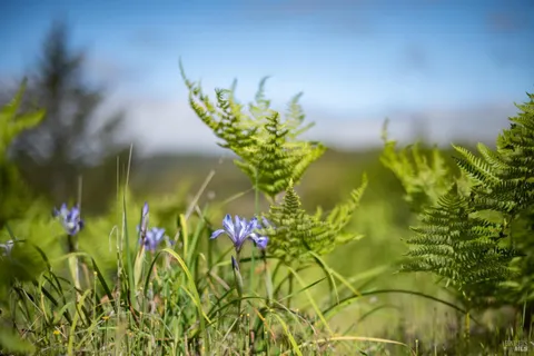 $1,065,000 | 30131 Elkhorn Road, Yorkville, CA 95494