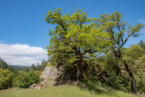 $1,065,000 | 30131 Elkhorn Road, Yorkville, CA 95494