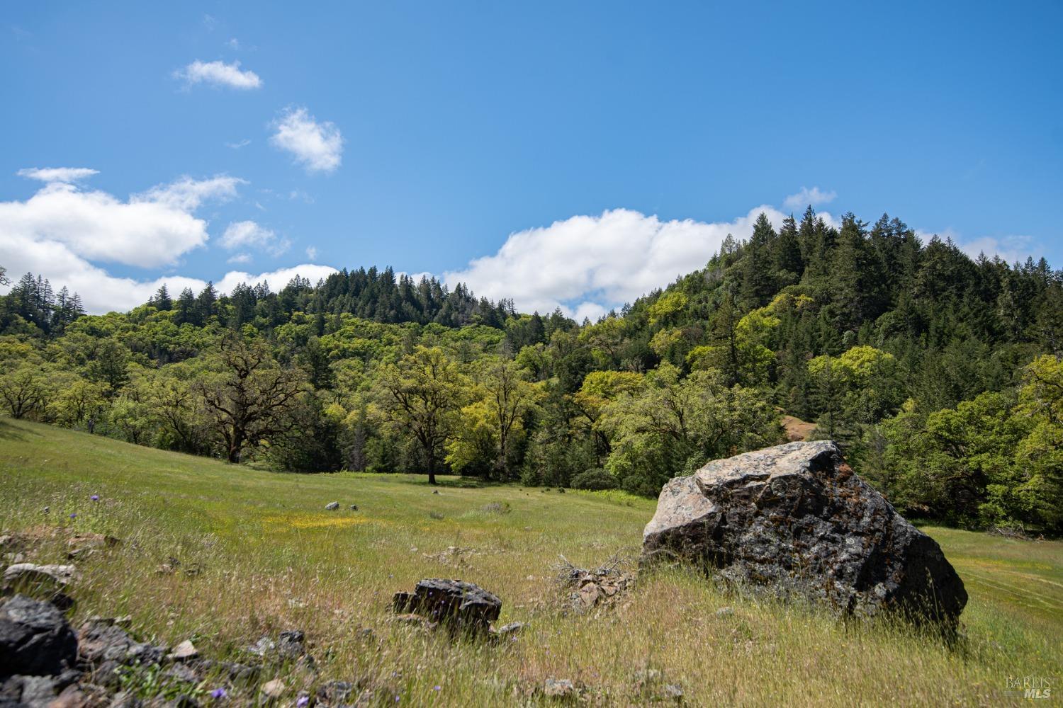 30131 Elkhorn Road Yorkville, CA 95494 - Photo 21 of 21