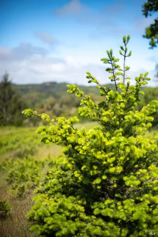 $1,065,000 | 30131 Elkhorn Road, Yorkville, CA 95494