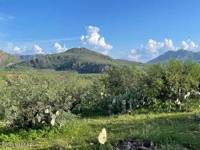 Tbd Camino Hidalgo, Unit 109/3 Rio Rico, AZ 85648 - Photo 9 of 25