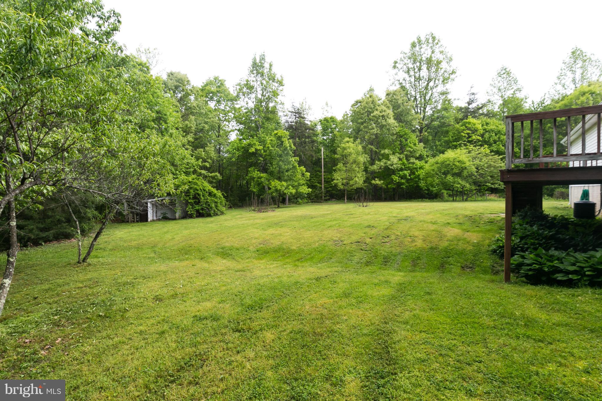 10438 Settle School Road Rixeyville, VA 22737 - Photo 9 of 29 Exterior (Rear)