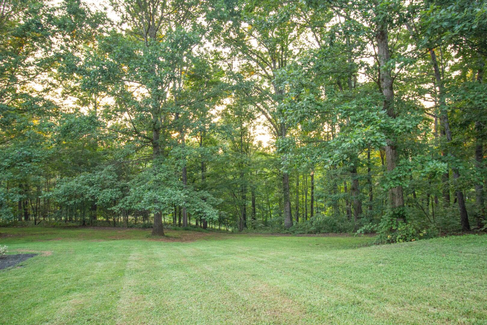 2420 Roaring Run Road Goode, VA 24556 - Photo 23 of 53 a view of a field with trees in the background