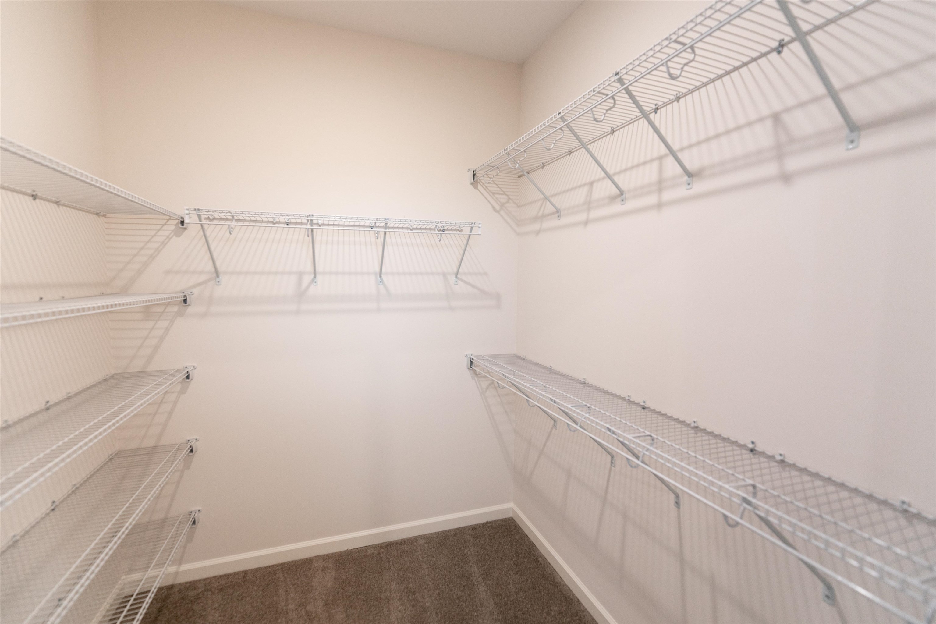 10155 Macon Road Cordova, TN 38018 - Photo 11 of 23 Gallery Image 11