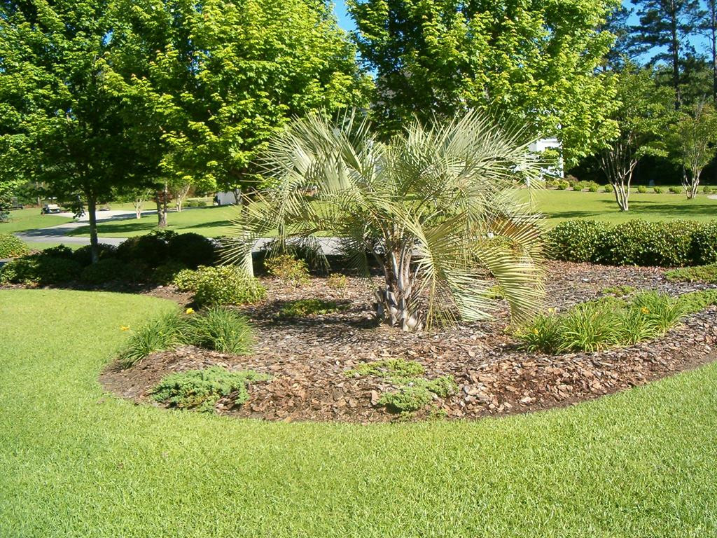225 Deerwood Road Barnwell, SC 29812 - Photo 30 of 30
