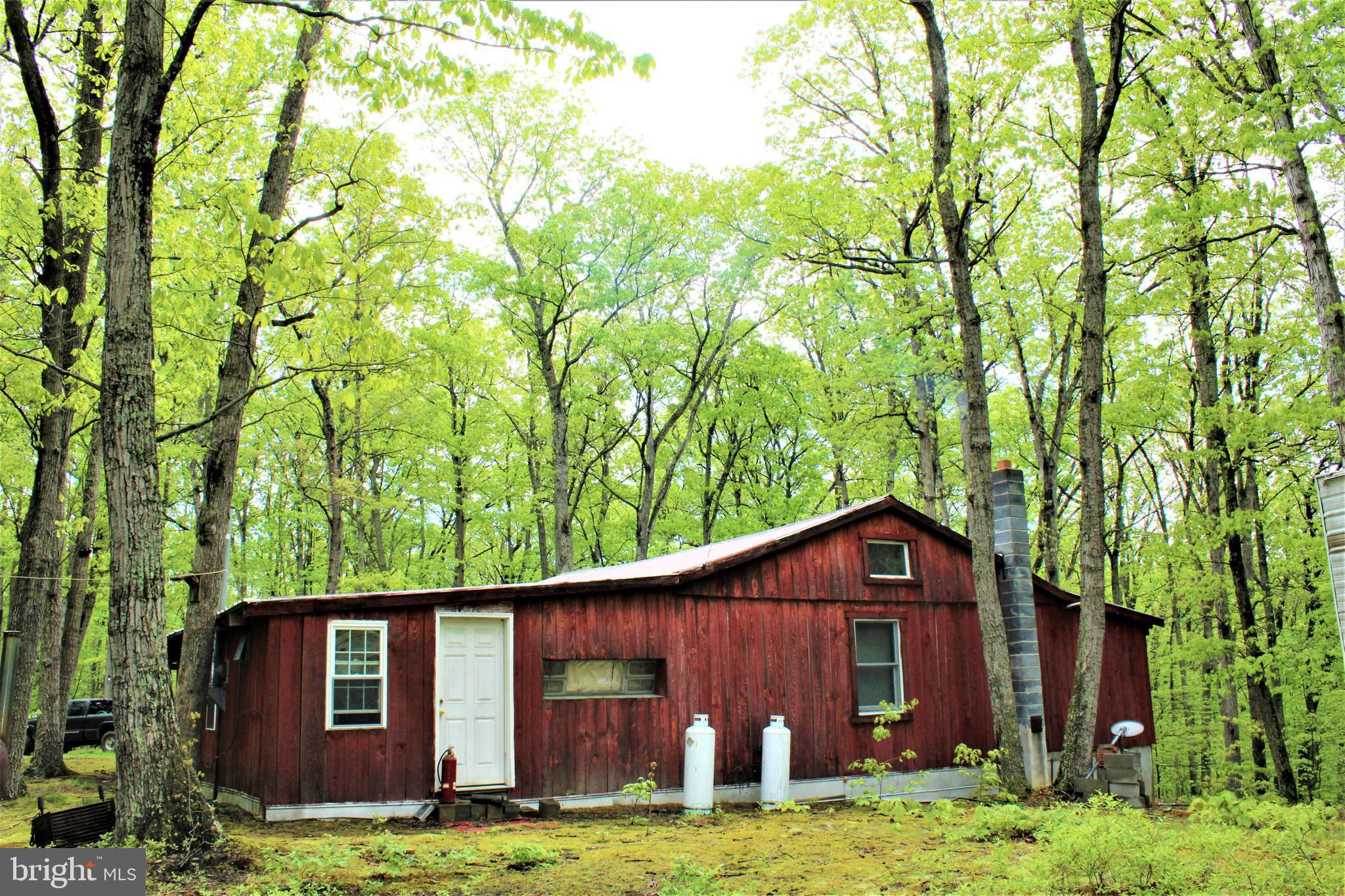 Twigg Ridge Road Flintstone, MD 21530 - Photo 11 of 73 Gallery Image 11