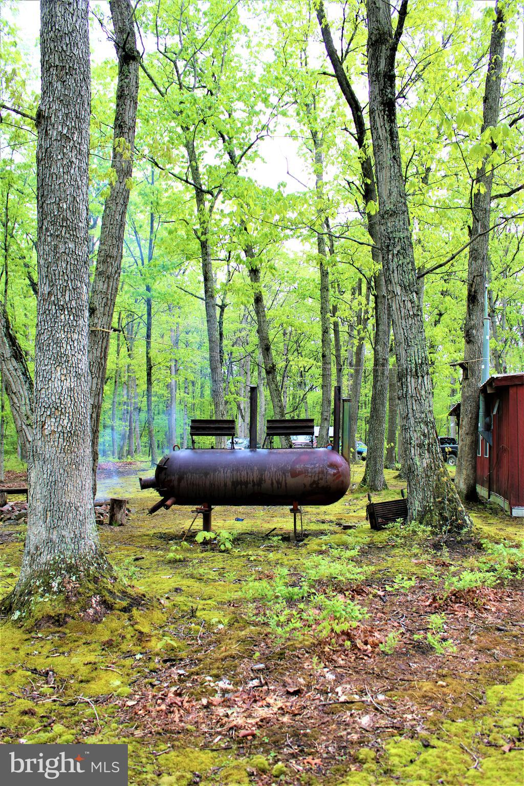 Twigg Ridge Road Flintstone, MD 21530 - Photo 14 of 73 Gallery Image 14
