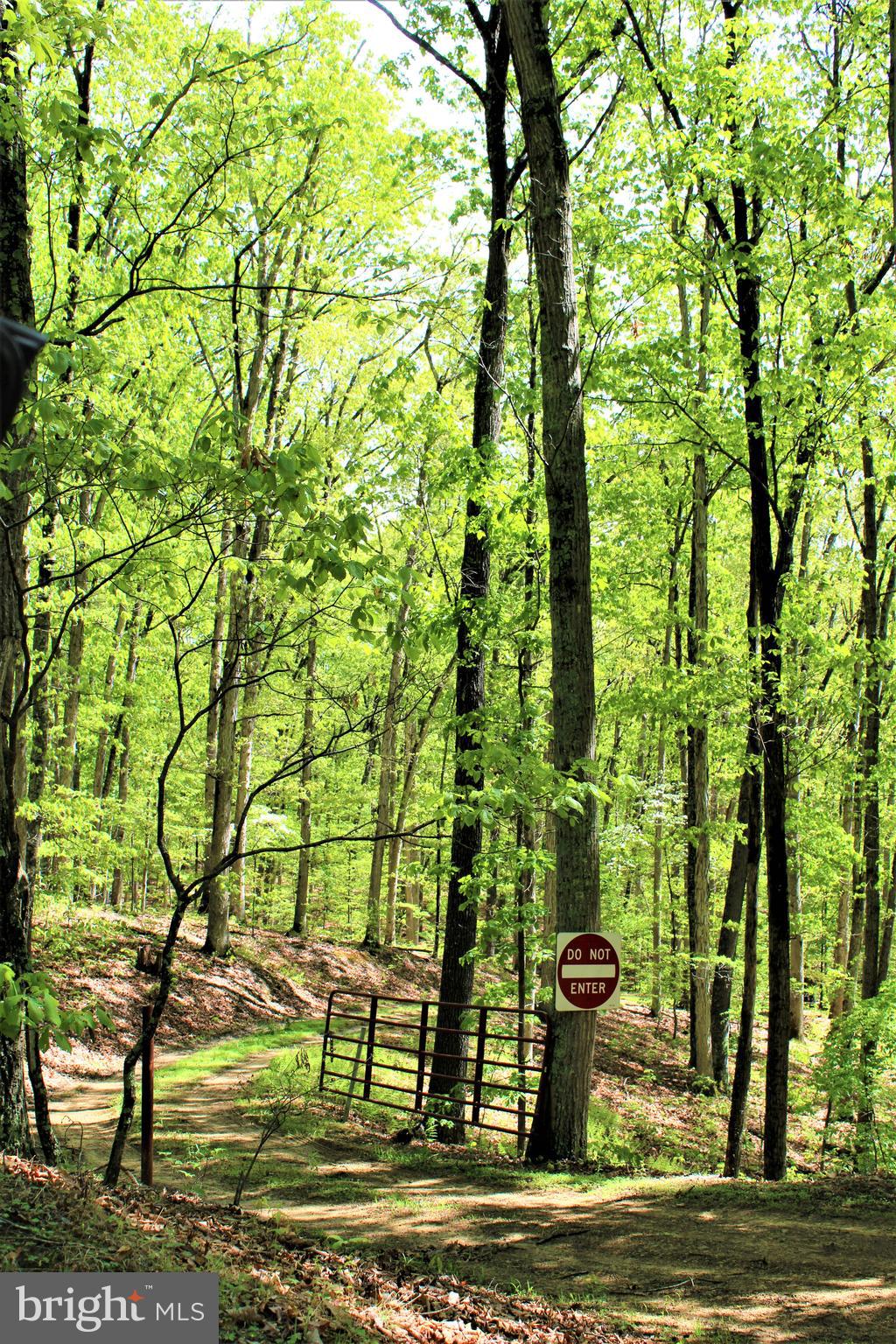 Twigg Ridge Road Flintstone, MD 21530 - Photo 53 of 73 Gallery Image 53