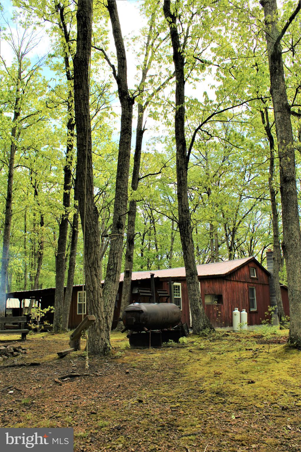 Twigg Ridge Road Flintstone, MD 21530 - Photo 7 of 73 Gallery Image 7