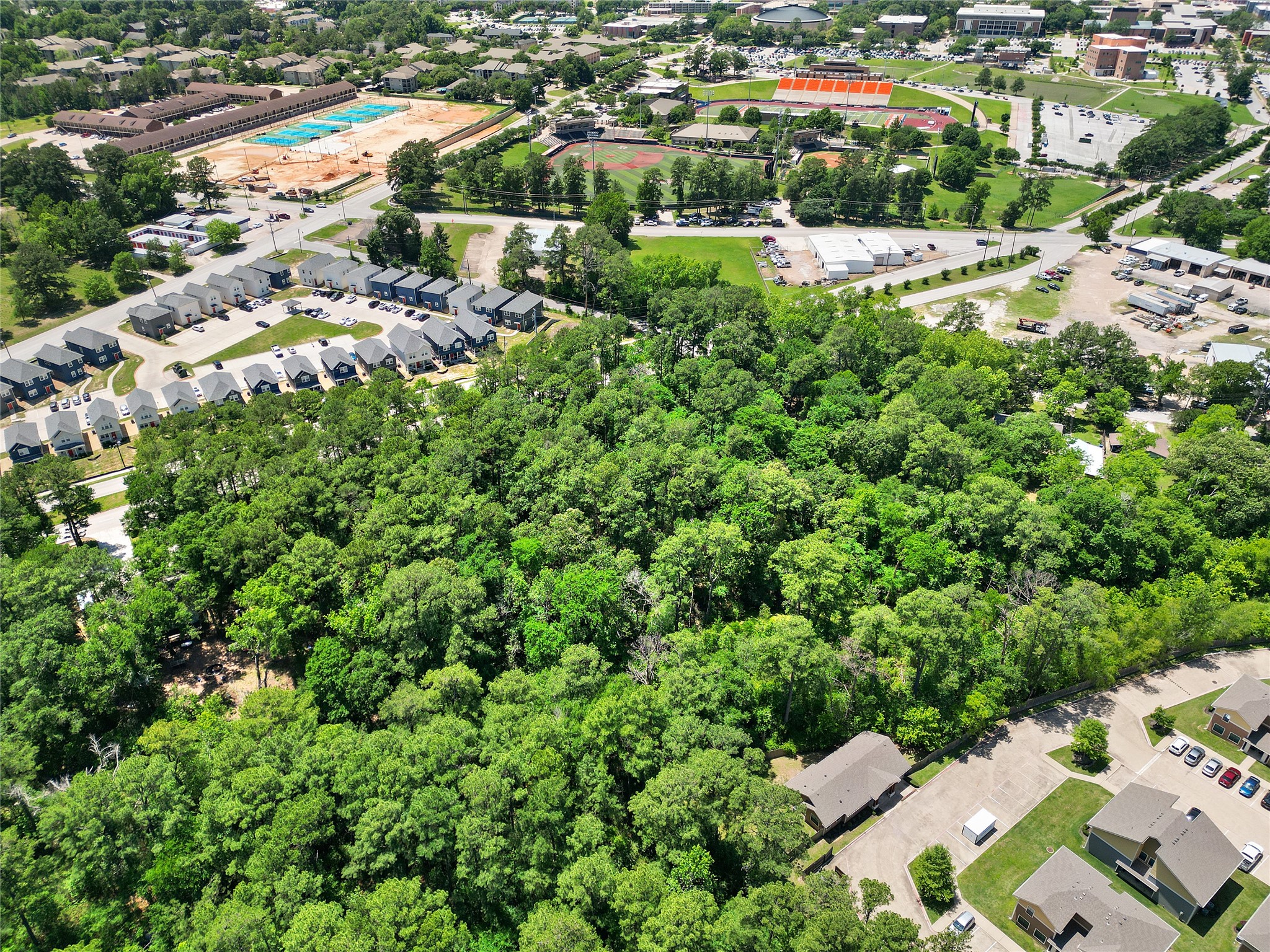 Tbd Tbd Bearkat Huntsville, TX 77340 - Photo 11 of 15