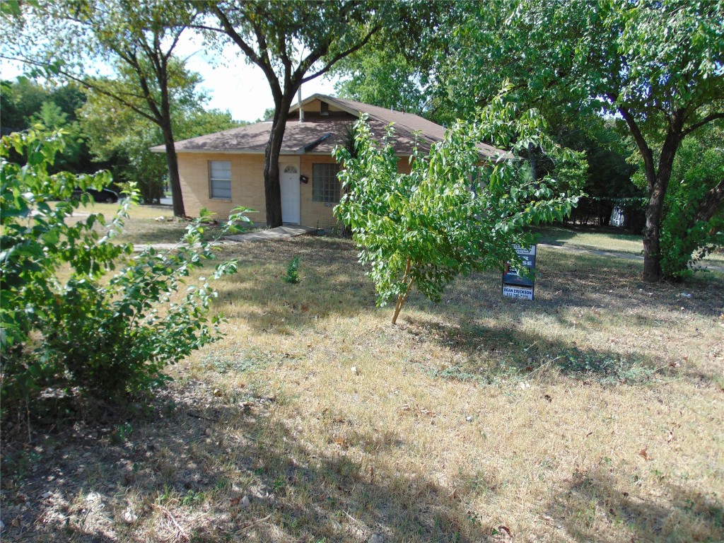 a view of a yard with plants and large trees