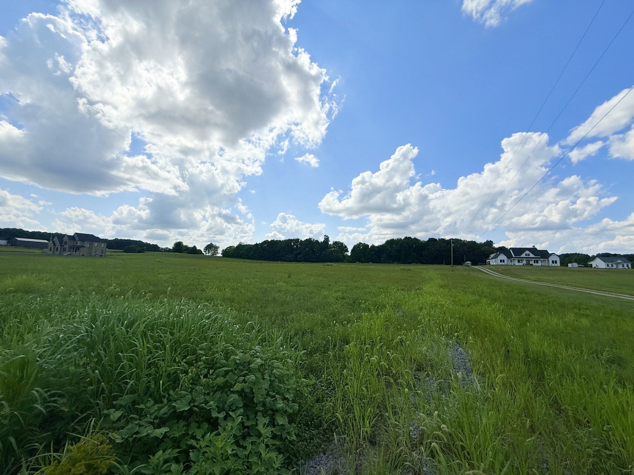 165 Perdue Cemetery Road Portland, TN 37148 - Photo 3 of 4