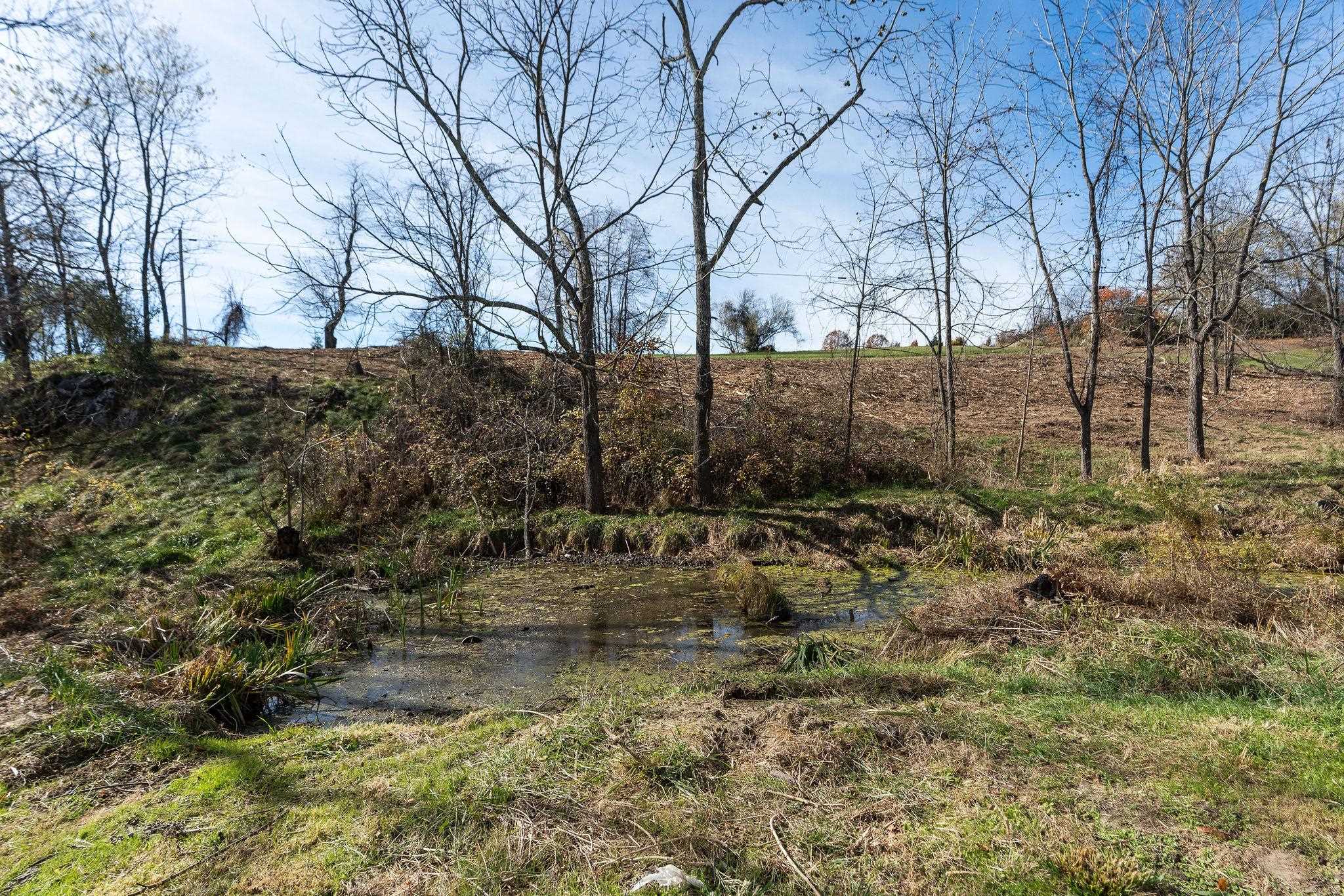 5818 Lee Jackson Highway Raphine, VA 24472 - Photo 34 of 66