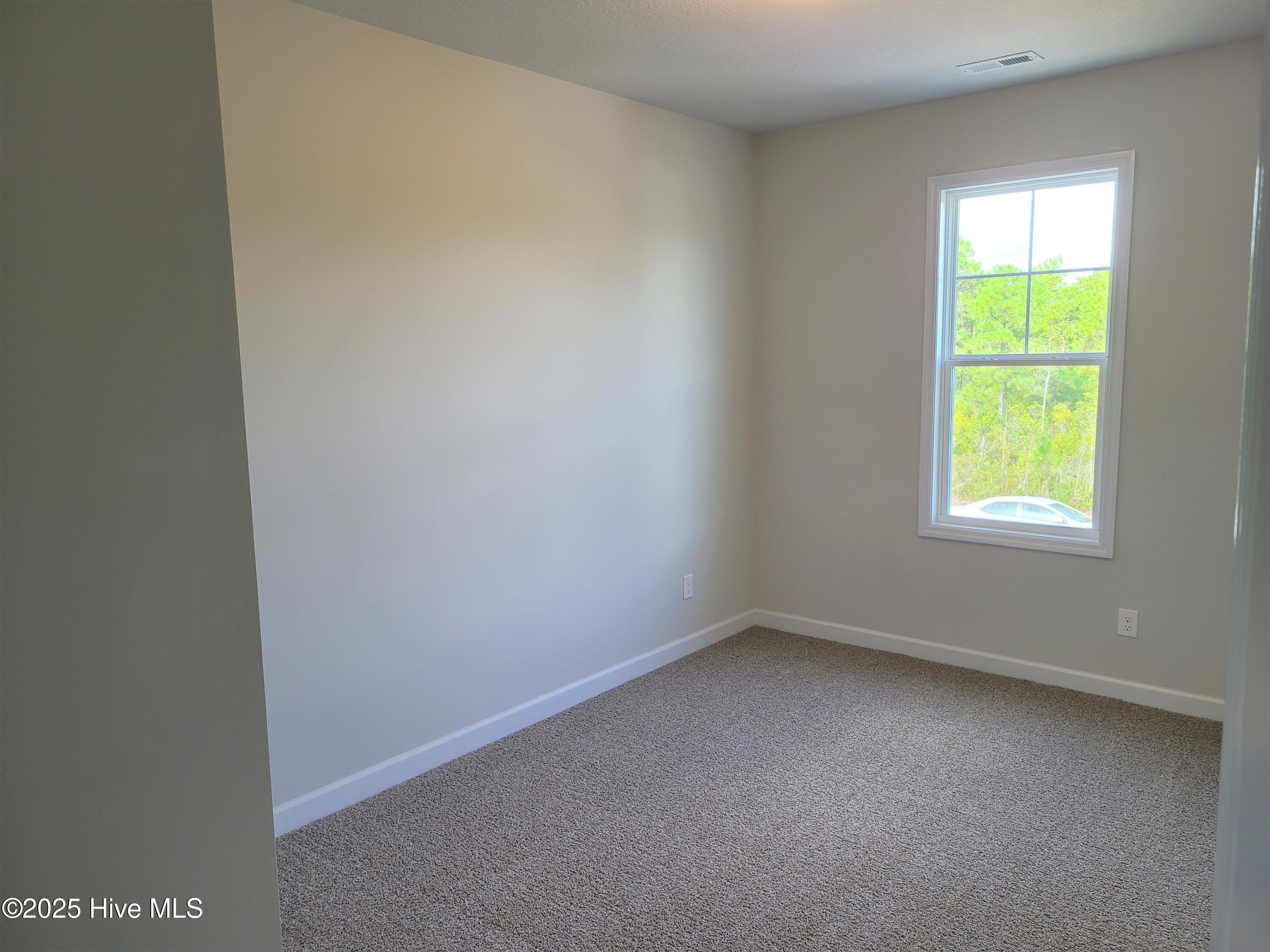 262 Currituck Drive Holly Ridge, NC 28445 - Photo 17 of 20 c262.17