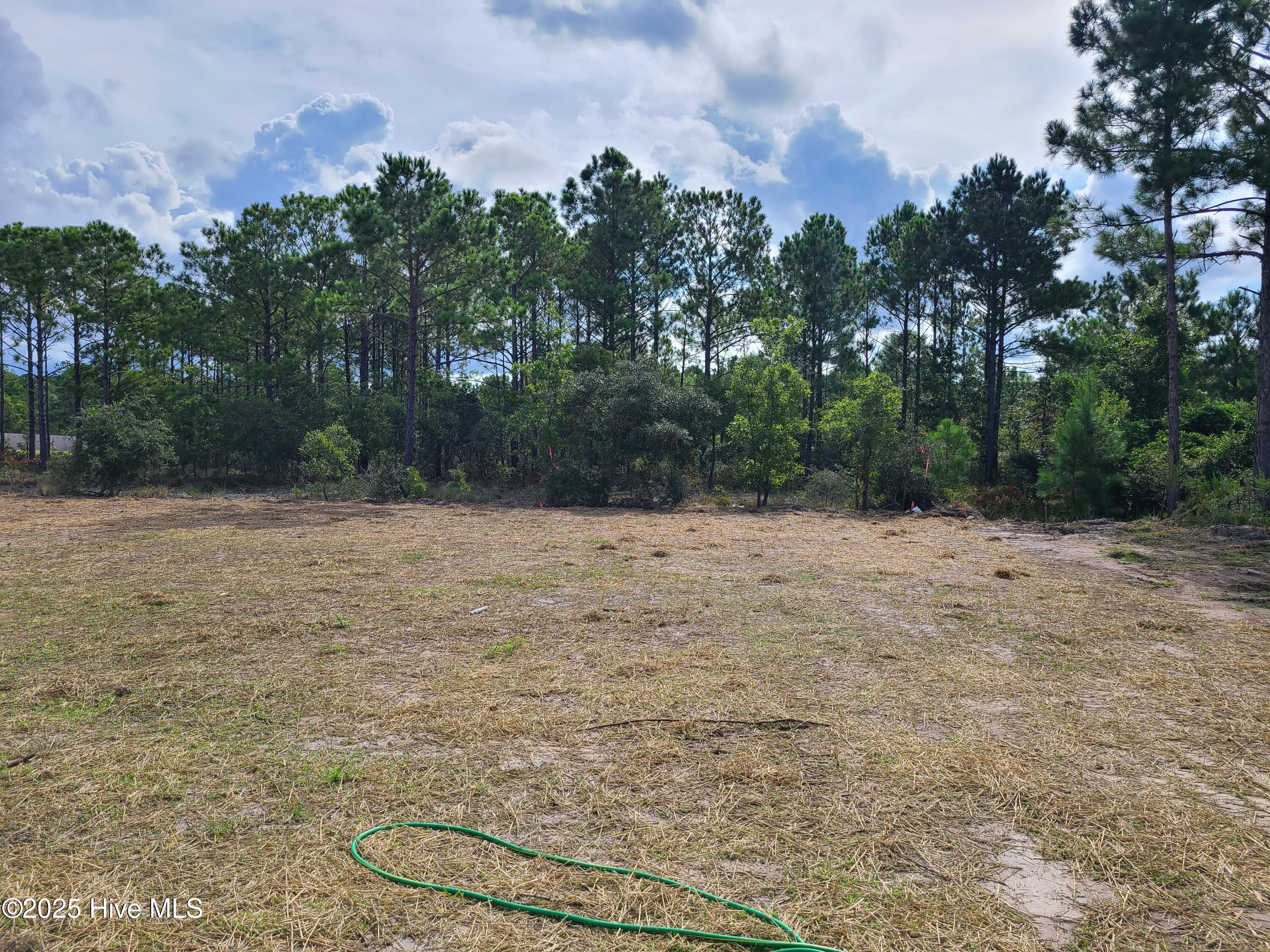 262 Currituck Drive Holly Ridge, NC 28445 - Photo 19 of 20 c262.19