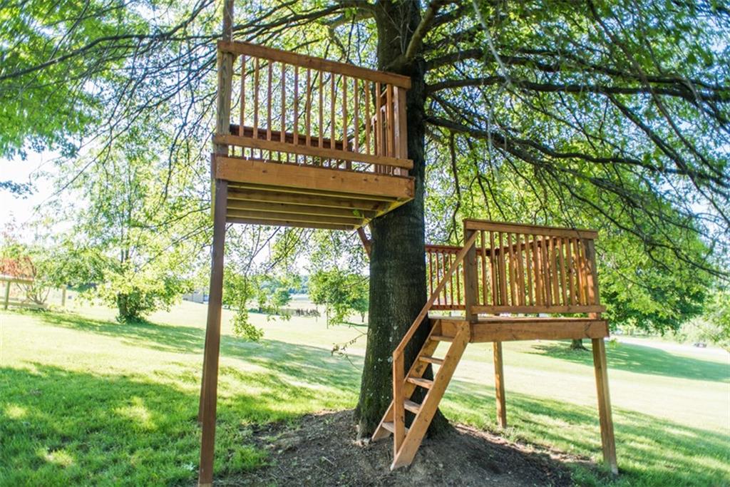 334 Nastase Road Home, PA 15747 - Photo 23 of 23 Tree House