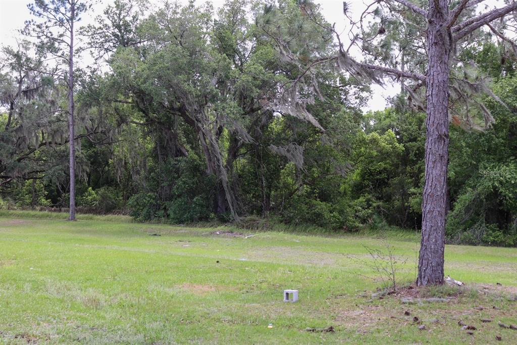 448 Fernandez Street Winter Haven, FL 33880 - Photo 16 of 27 a view of a field with trees in the background