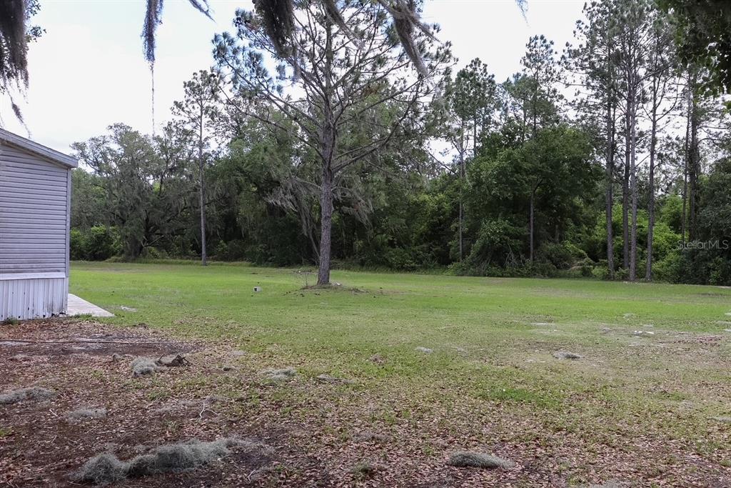 448 Fernandez Street Winter Haven, FL 33880 - Photo 17 of 27 a view of a field with trees in the background