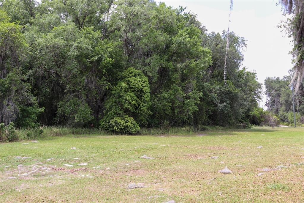 448 Fernandez Street Winter Haven, FL 33880 - Photo 18 of 27 a view of a field with a trees