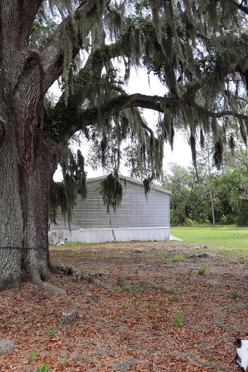 448 Fernandez Street Winter Haven, FL 33880 - Photo 20 of 27 a view of a yard with a tree