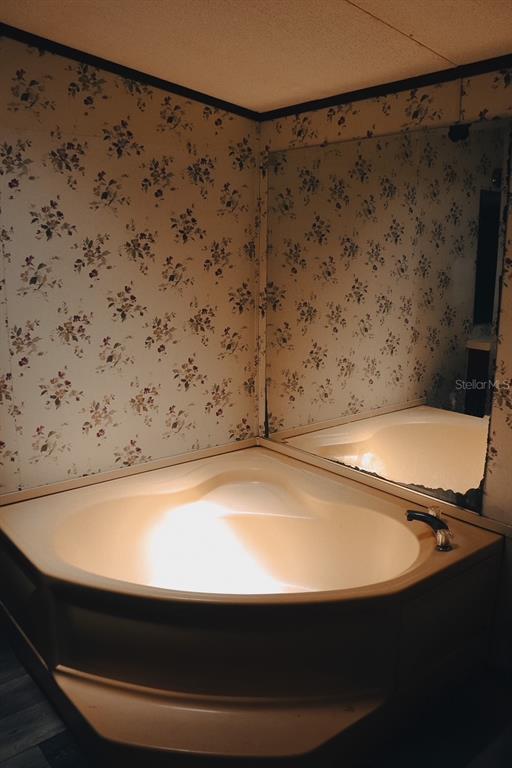 448 Fernandez Street Winter Haven, FL 33880 - Photo 6 of 27 a view of a jacuzzi
