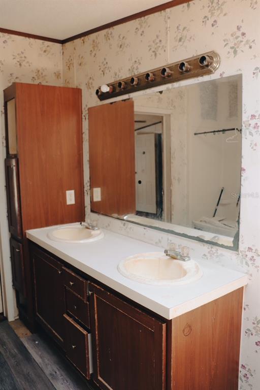 448 Fernandez Street Winter Haven, FL 33880 - Photo 7 of 27 a bathroom with a sink and a mirror