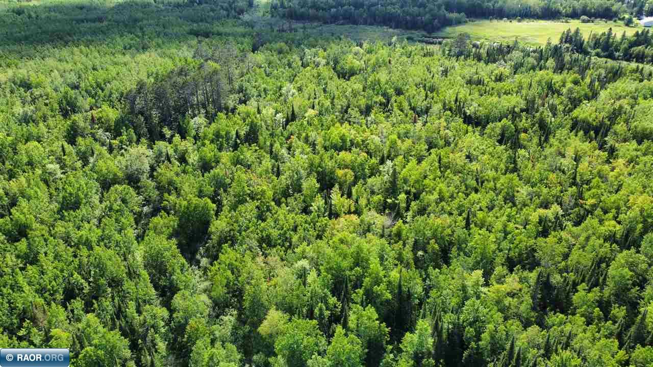 Tbd South Salmi Road Hibbing, MN 55746 - Photo 20 of 36 Gallery Image 20