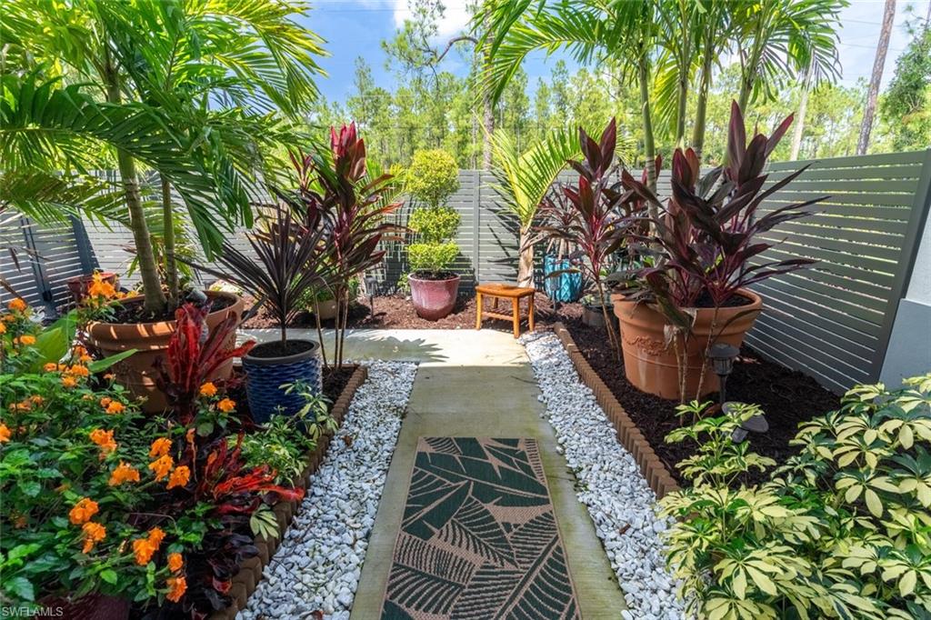 2572 Randall Boulevard Naples, FL 34120 - Photo 5 of 45 a view of a yard with plants and trees