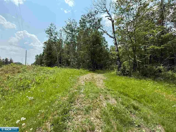 $230,000 | Tbd Tbd Samuelson Road-sec22, Angora, MN 55703